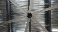 7.3m Giant Fans Supplier: Custom High-Performance Air Movement Solutions