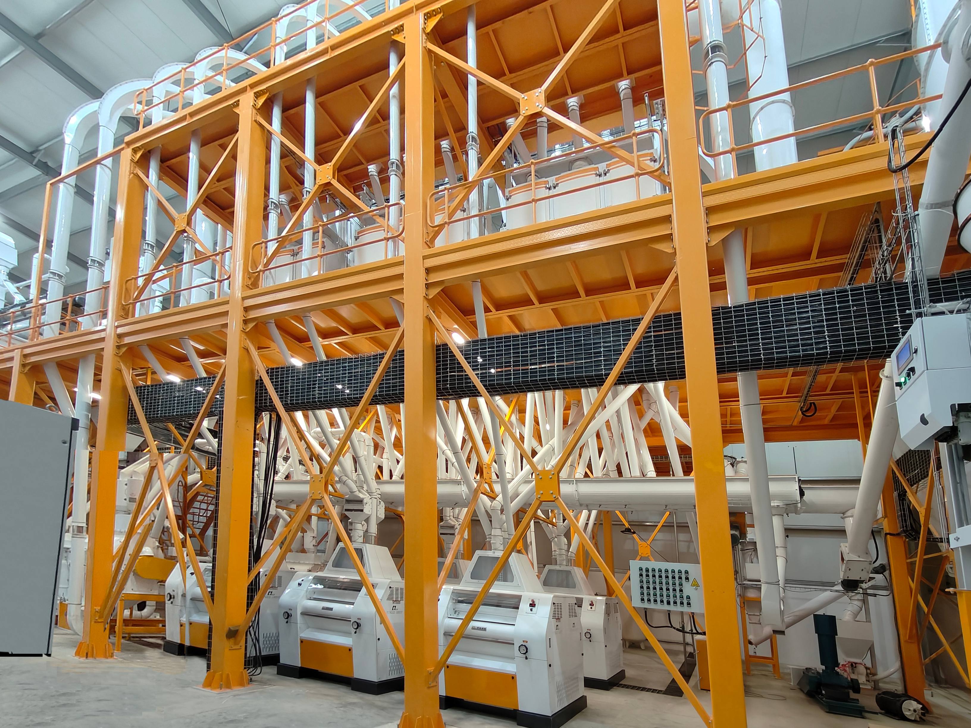 Grain Grinder Machine Plant: A Complete Setup and Maintenance Guide