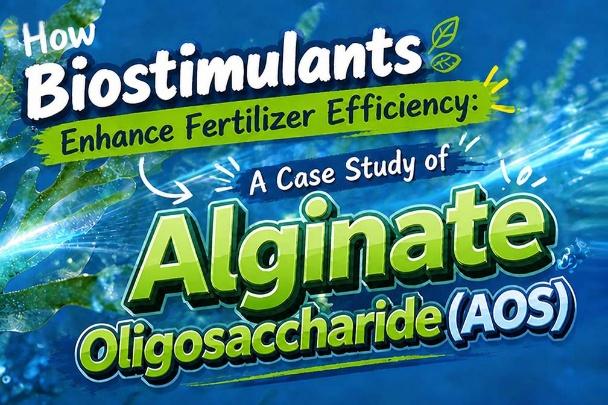 China Fertilizer Additive Ranking: Leading Products and Their Market Impact